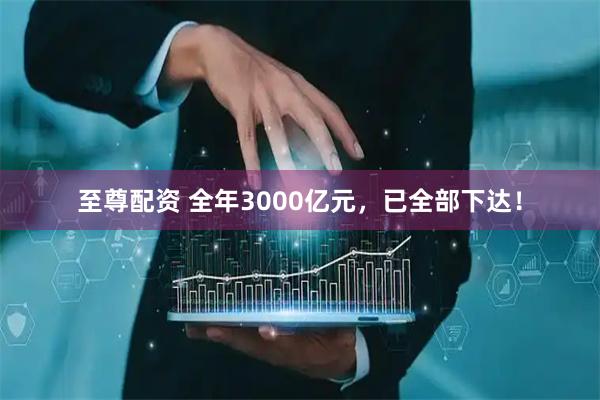 至尊配资 全年3000亿元，已全部下达！
